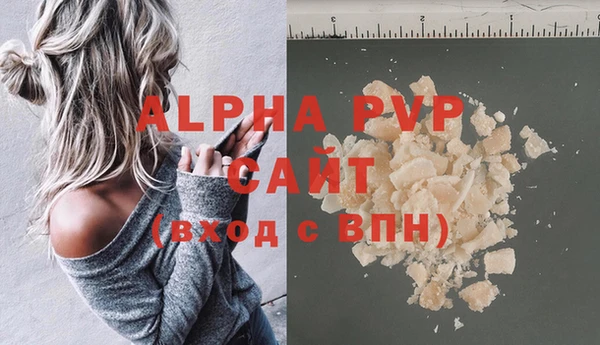 стафф Алексин