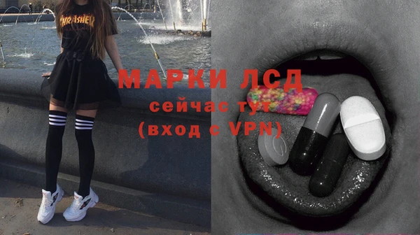 индика Алзамай