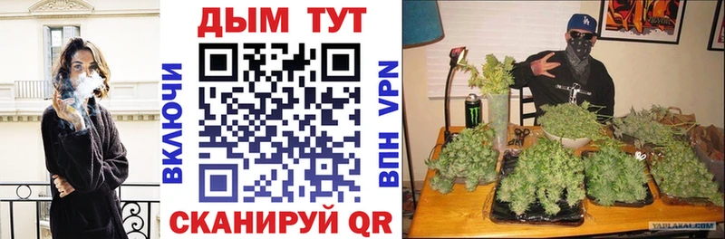 Конопля Bruce Banner  как найти наркотики  darknet как зайти  Олонец 